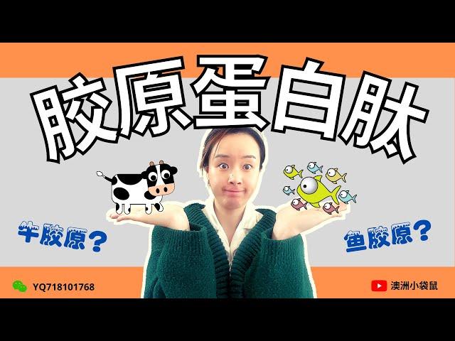 胶原蛋白肽哪种好？｜鱼胶原真的比牛胶原要好吗？｜鱼胶原的蛋白质含量更高？｜鱼胶原更容易被人体吸收？｜鱼胶原不会发胖？｜鱼胶原更安全？｜澳洲如新NUSKIN