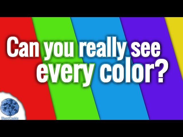 Are You Colorblind? (Color Test)