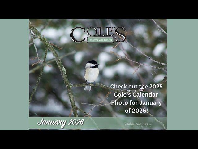 The 2025 Cole's Calendar Is Beautiful. Learn More About This Photo for January 2026.