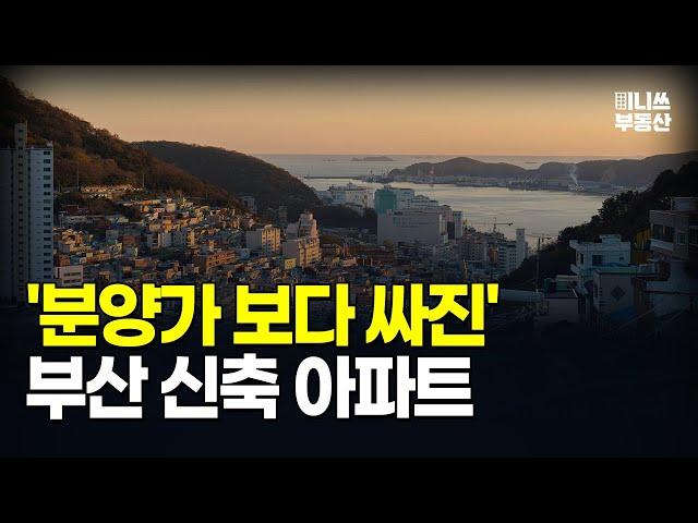 충격의 부산 신축 아파트. 분양가보다 싸진 가격에 입주민은 대성통곡 부산 마피 아파트 10곳 [집값 상황 377편][부동산 아파트 집값전망 폭락 하락 분양권]