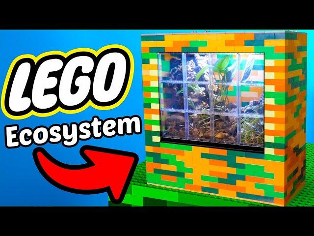 I Made a Real Terrarium Out of LEGO