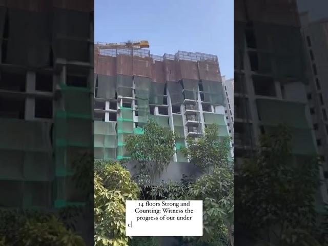 Lodha Bellevue, Construction Status Update, 14 Floors, +919560214267, Mahalaxmi, Mumbai South