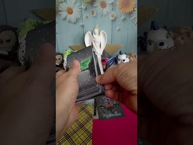 ЧТО НАДО ОТПУСТИТЬ В НОВОМ ЛУННОМ ЦИКЛЕ! #страна_чудес #наталья_благая #ДОСУГ_С_НБ