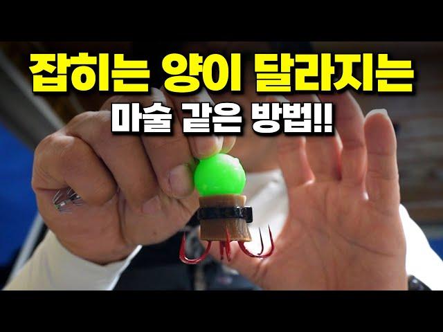 쭈꾸미 낚시 초보자가 고수가 되는 기가 막힌 방법!! [박과장TV]