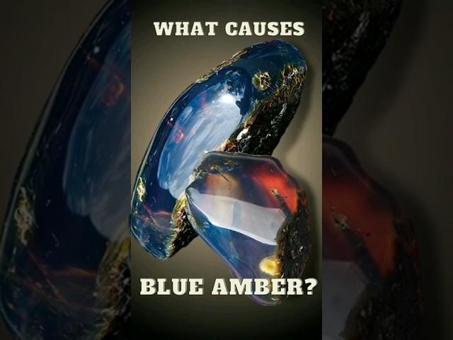 What Causes Rare Blue Amber? #gems #crystals #rocks #nature #science