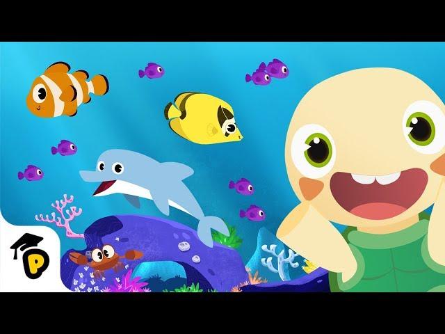 Learn about Sea Animals | Ocean Animal Compilation | Kids Cartoon | Dr. Panda TotoTime Season 2