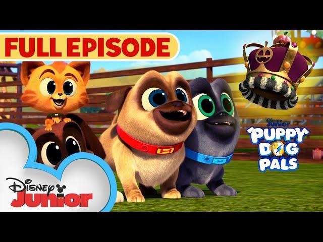 Halloween Full Episode  | The Pumpkin King | S5 E15 Part 1 | Puppy Dog Pals | @disneyjr