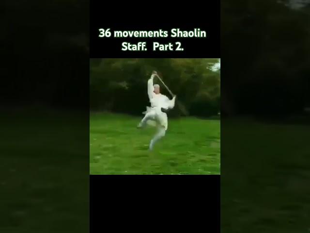 36 movements Shaolin Staff. Part 2 #kungfu #martialarts #shaolin #staff
