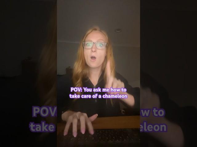 You need help with your chameleon