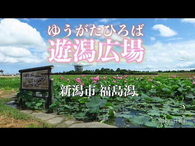 「日本の自然百選」「にいがた景勝百選」「遊歩百選」福島潟