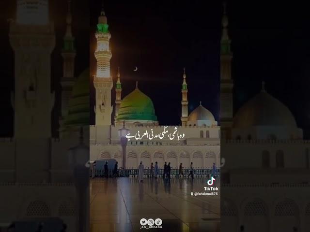 Mehfil e Qunain#hazratmuhammadsaw #madina#darood #fyp#naatsharif