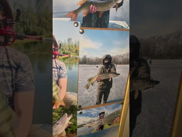 Мои Трофеи и самый ловчие приманки на одной доске. #щука #fishing #рыбалка #спининг #окунь #хакасия