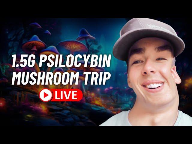 My Live Psilocybin Mushroom Experience