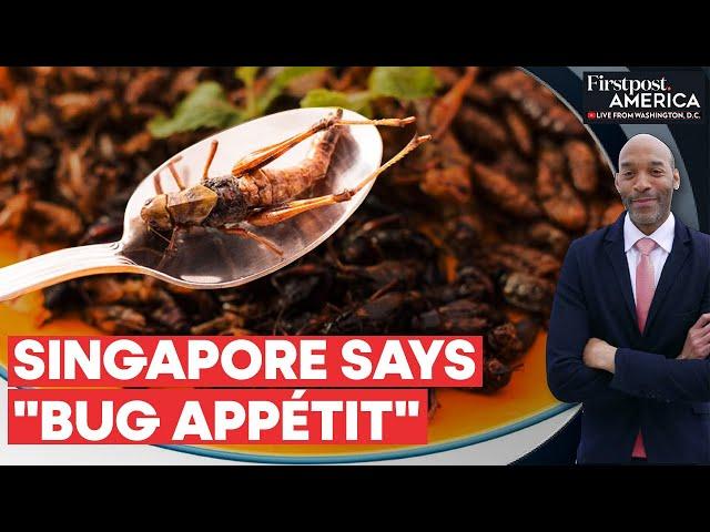 Singapore Introduces Edible Insects in Food Menus | Firstpost America