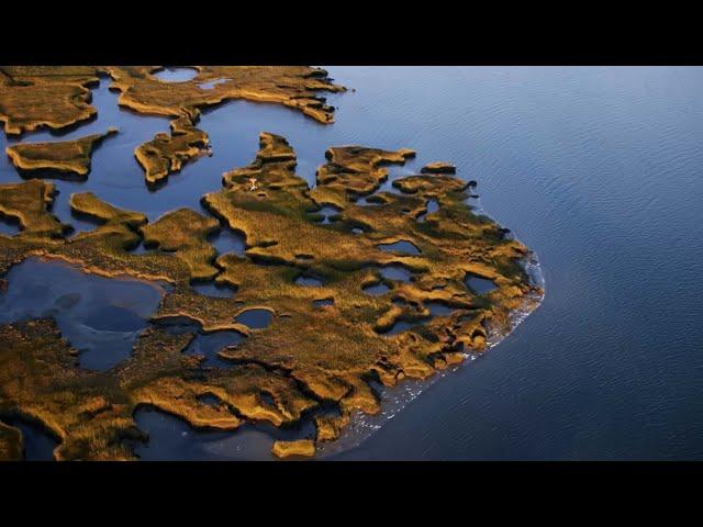 A Look At Cape Cod's Incredible Salt Marshes | America Over The Edge