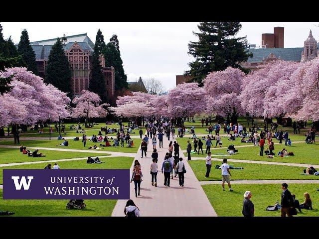 University of Washington Seattle - Campus Tour