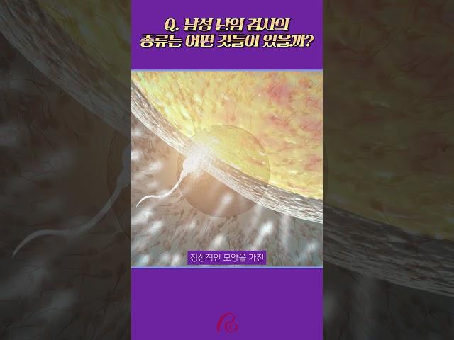 남성 난임 검사의 종류는 어떤 것들이 있을까?