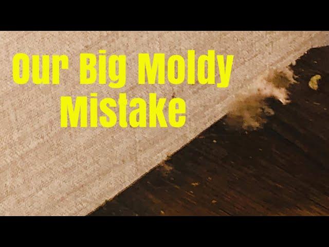 Our Winter RV Moldy Mistake -Don't Do This!