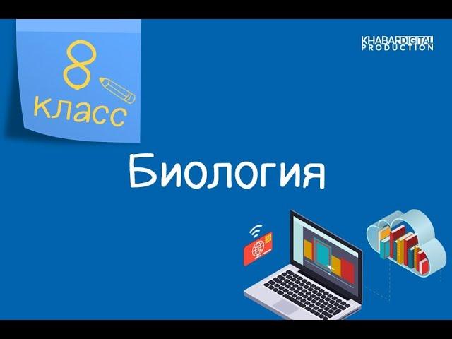 Биология. 8 класс. Структура и функции палочек и колбочек, волосковых клеток /02.03.2021/