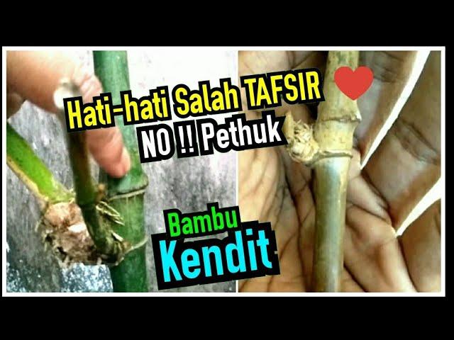 HATI-HATI SALAH TAFSIR️ BAMBU KENDIT X BAMBU SAKIT = PETHUK ?? 