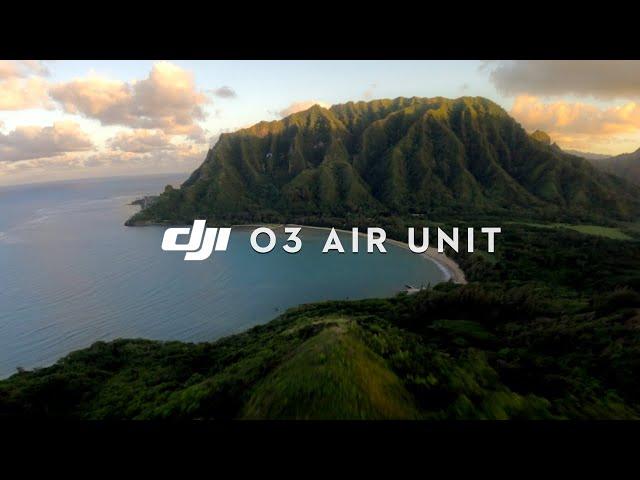 DJI O3 AIR UNIT | Is It Worth the Hype??