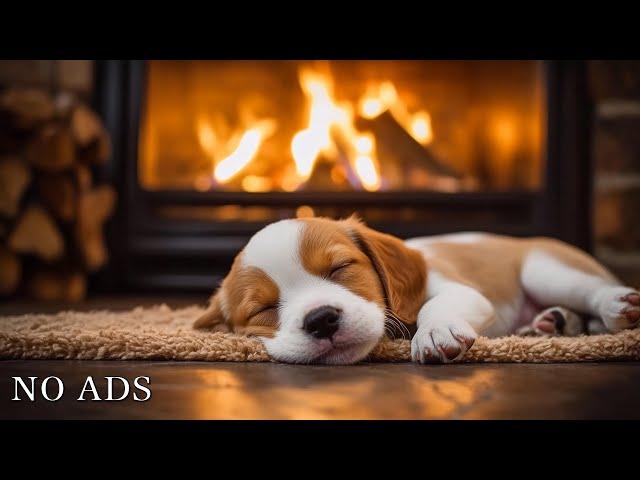 Deep sleep music for dogsAnti-anxiety music for dogsMusic help your dog sleep after 30minutes