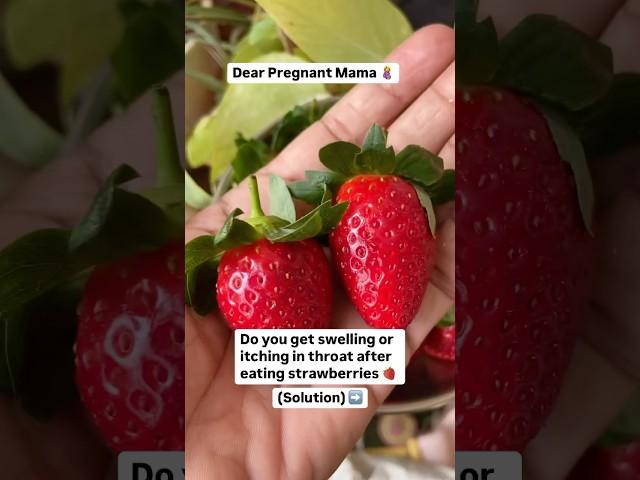 Avoid strawberry allergies this way #pregnancytips #pregnancydiet #pregnancy