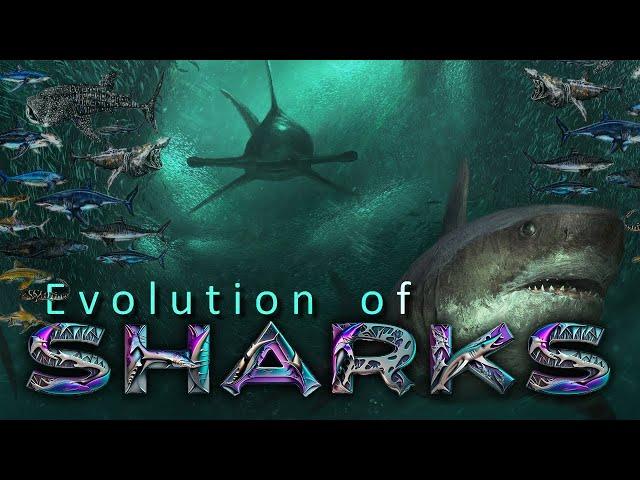 The Evolution of true SHARKS