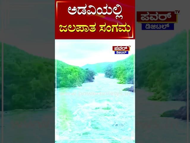 Rain Updates : ಅಡವಿಯಲ್ಲಿ ಜಲಪಾತ ಸಂಗಮ | Waterfalls | Cauvery River | Power TV News