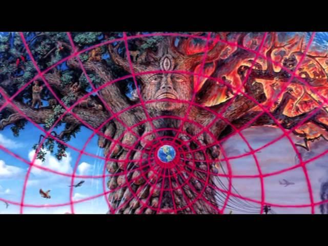 Alex Grey - Visionary Art