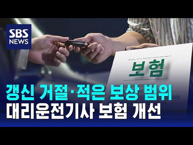 갱신 거절·적은 보상 범위…대리운전기사 보험 개선한다 / SBS