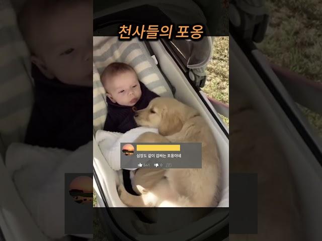[심쿵주의]  지구에서 가장 순수한 포옹... 아기와 강아지 (마음 녹음)