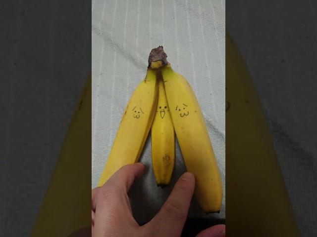 バナナインコ