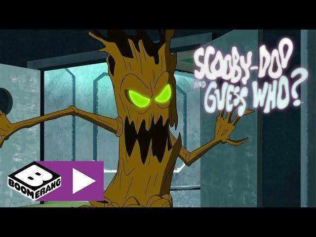 Scooby-Doo and Guess Who? | Tree Monster | Boomerang UK