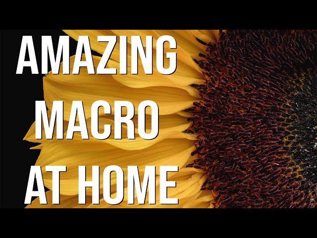 I loved taking these easy but beautiful macro photos at home (Flower and focus tutorial)