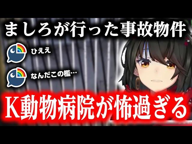 【ホラー注意】四国のK動物病院に行ったましろくん【にじさんじ/ましろ/切り抜き】