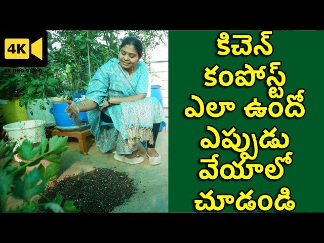 Proper Kitchen Compost | How to Use Kitchen Compost for Terrace Garden | The Telugu Housewife | TTH