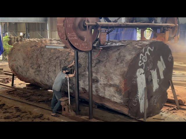 Amazing Woodworking Factory | Extreme Wood Cutting Sawmill Machines, Cheesy Wood Giant 1000 Year Old