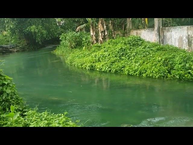 Roaring River Westmoreland Jamaica, Rastasafari Experience ltd atv bike,