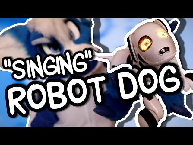 Anti-YouTube Robo Doggo  [Toy Rooview]