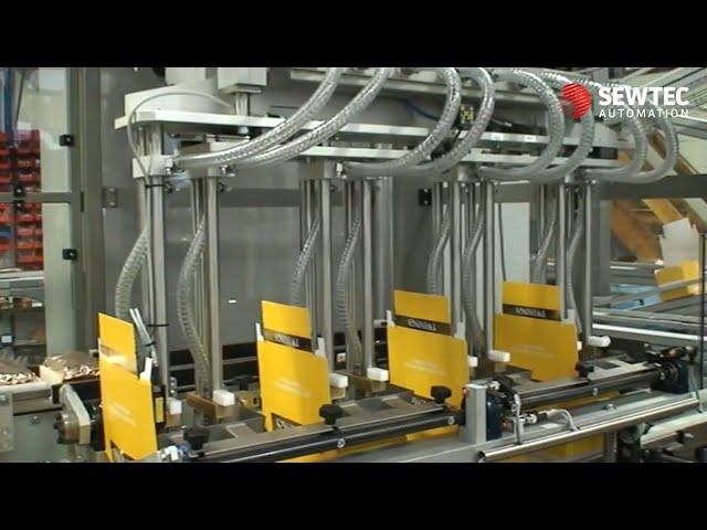 Food Processing and Packaging Automation - Sewtec