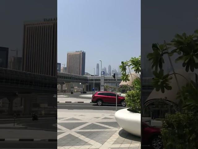 Dubai DMCC  Metro Station ️ #dubailife #traveldubai #dubaishorts #shorts