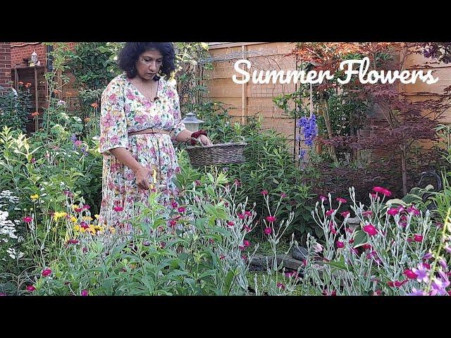 Small Garden with Colourful Blooms | Perennial Garden Tour