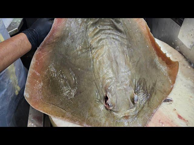 How to make a cutting skills amazing giant stingray fish