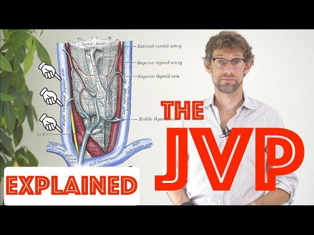 JVP Examination Explained - Clinical Skills Deep Dive - Medical School Revision - Dr Gill