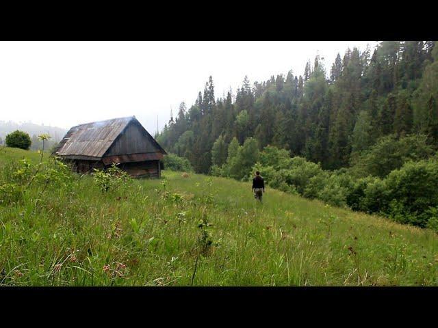 A mountain cabin in a wild forest far in the mountains. Bushcraft shelter. [ episode 2 ]