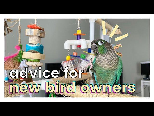 MY ADVICE TO NEW BIRD OWNERS