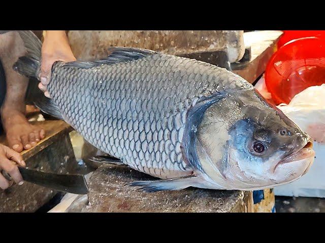 Incredible Giant Katla Fish Cutting Live In Fish Market | Fish Cutting Skills