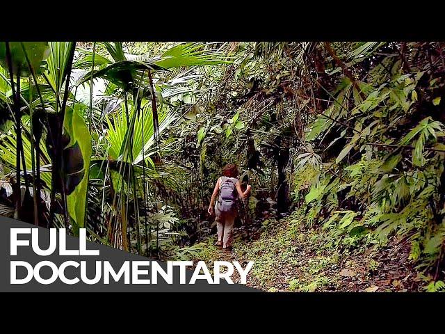 Amazing Quest: Stories from Costa Rica | Somewhere on Earth: Costa Rica | Free Documentary