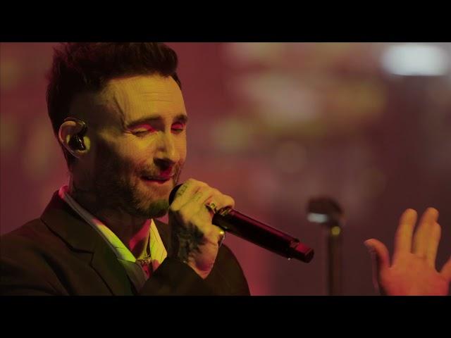 Maroon 5 Perform Animals